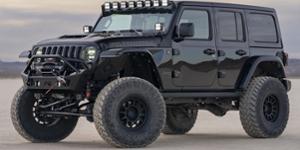Jeep Wrangler with Black Rhino Rapid